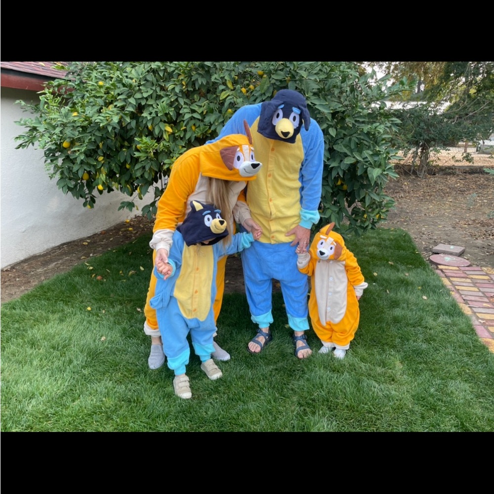 Family set of Bluey like costumes: Bandit, Chili, Bluey and Bingo,4 pieces total